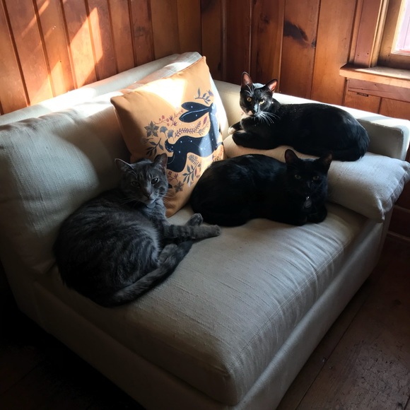 Meet your Posher, Jess - Picture 4 of 4